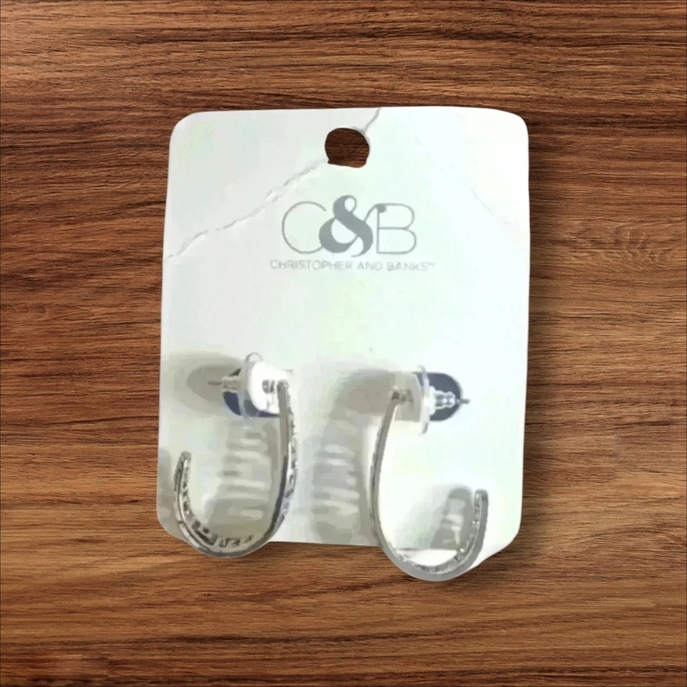 Women's silver earrings
